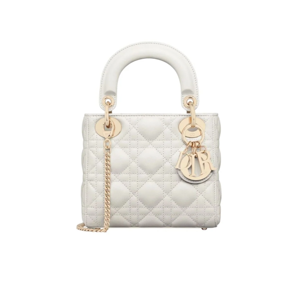 lady dior mini